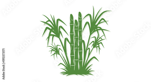 A simple green silhouette illustration illustrates a cluster of sugarcane plants with thick stalks and long leaves, growing from the ground.