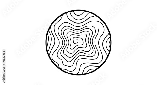 Black and White Topographic Circle Design.