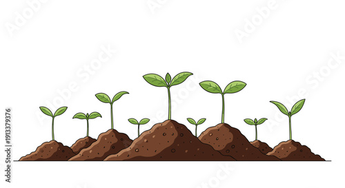Multiple small green plant sprouts with vibrant leaves, emerging from individual mounds of brown soil, isolated on a white background.