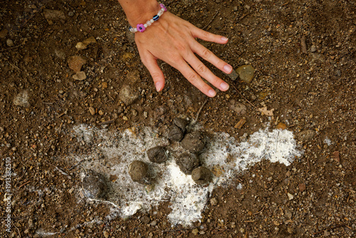 Faeces or feces or droppings or scat of Komodo dragon Varanus komodoensis also Komodo monitor, large reptile endemic to the Indonesian islands of Komodo, Rinca, Flores