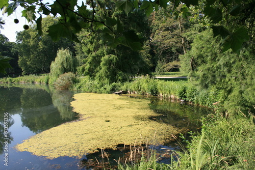 Teich im Park