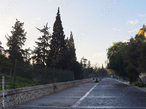 Dionysiou Areopagitou cobblestone empty street with markings leading through cypress trees at dawn, Athens, Greece