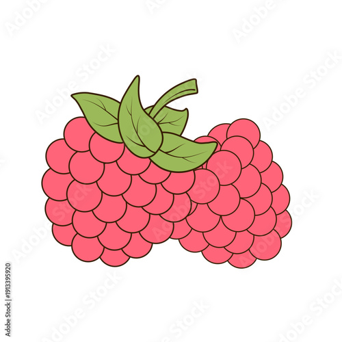 Two raspberries with green leaves are shown. Hand drawn vector illustration in flat simple cartoon style. Fresh berry fruit ingredient. Suitable for packaging, menu design, labels, stickers, print and