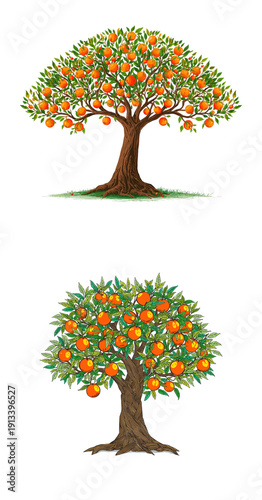 Beautiful tree with oranges isolated on transparent background, flat design illustration