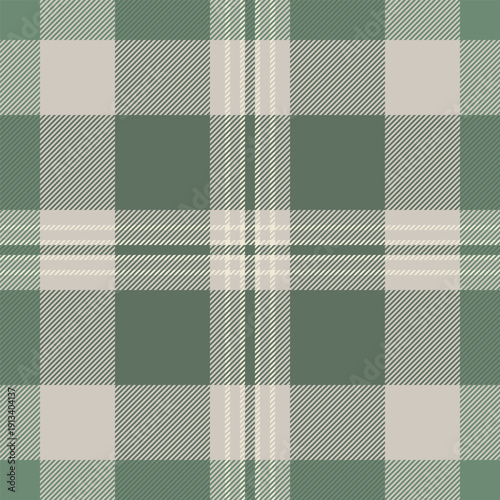 Detailed plaid textile seamless, famous tartan texture vector. Mid check fabric background pattern in pastel and pastel grey colors.