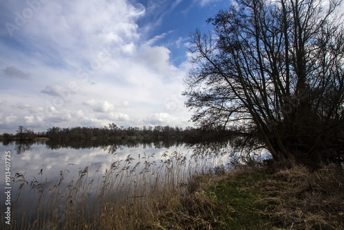Floodplain landscape in Pannerden