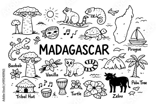 Madagascar travel doodle set, hand drawn exotic animals, lemur, baobab tree and tropical nature illustration in line art style