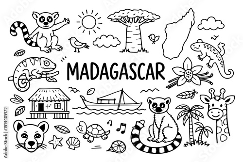 Madagascar travel doodle set, hand drawn exotic animals, lemur, baobab tree and tropical nature illustration in line art style