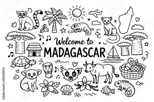 Madagascar travel doodle set, hand drawn exotic animals, lemur, baobab tree and tropical nature illustration in line art style