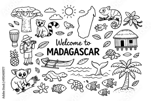 Madagascar travel doodle set, hand drawn exotic animals, lemur, baobab tree and tropical nature illustration in line art style