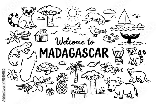 Madagascar travel doodle set, hand drawn exotic animals, lemur, baobab tree and tropical nature illustration in line art style