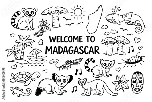 Madagascar travel doodle set, hand drawn exotic animals, lemur, baobab tree and tropical nature illustration in line art style