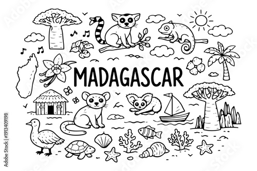 Madagascar travel doodle set, hand drawn exotic animals, lemur, baobab tree and tropical nature illustration in line art style