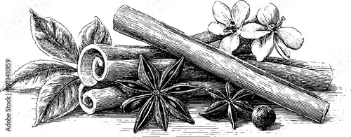 Vintage engraved illustration of cinnamon sticks and star anise for culinary design