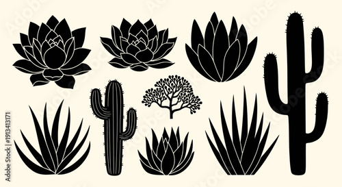 Collection of various desert plants and succulents in silhouette.