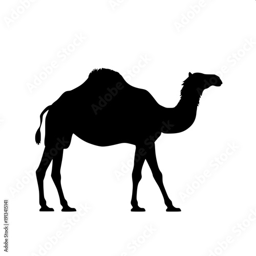 "Silhouette art of camel walking with handler in front holding rope, rider sitting on top, full side view, bold black flat design, isolated on light background, clean edges"