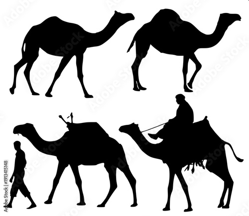 "Silhouette art of camel walking with handler in front holding rope, rider sitting on top, full side view, bold black flat design, isolated on light background, clean edges"