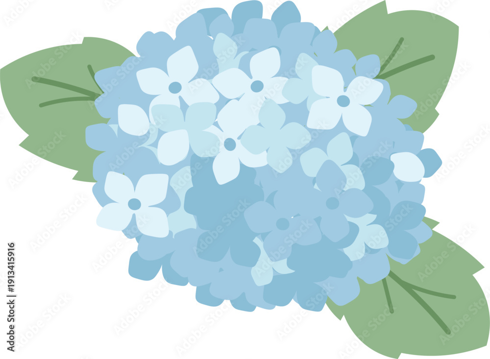 Fototapeta premium Hydrangea Bloom Bouquet Cartoon