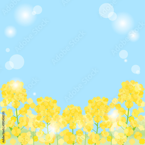 青空と日差しと菜の花畑を組み合わせた背景のイラスト　1：1バージョン