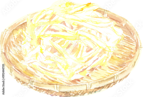 水彩で描いたもやしのイラスト　ベクター