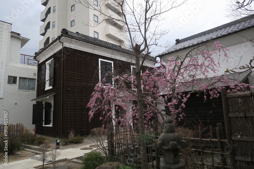時代をつなぐ春の庭先