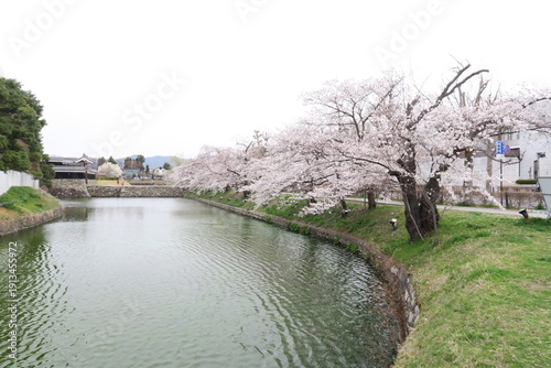 春色に染まる城下の水辺
