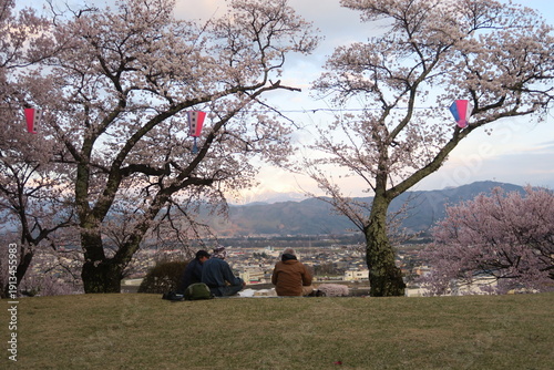 桜越しに望む山と町並み