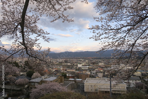 桜の雲と山の町