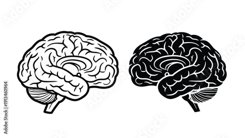 A detailed illustration depicts two human brains one light and one dark showcasing intricate convolutions