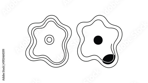 Two abstract irregular flower like shapes are depicted in a simple black and white line drawing