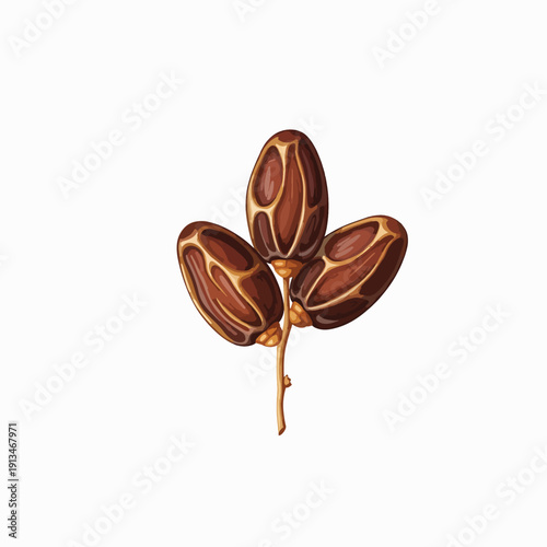 Three Brown Coffee Beans