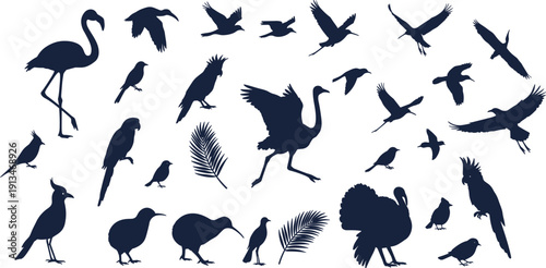 Collection of diverse bird silhouettes including flamingo, heron, turkey, parrot, kiwi and flying birds, perfect for wildlife illustrations, nature designs, and modern decorative vector
