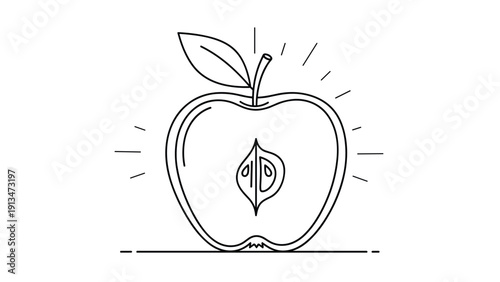 Simple line drawing of a shiny apple showing its internal seeds and core structure with radiating light lines on a plain white background.