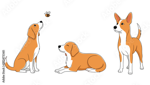 Three cute dogs of the same breed are illustrated in different poses including sitting, lying down, and standing alertly on white.