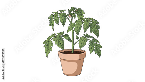 Delicious hot chocolate drink topped with whipped cream and mini marshmallows in a white ceramic mug with a straw.