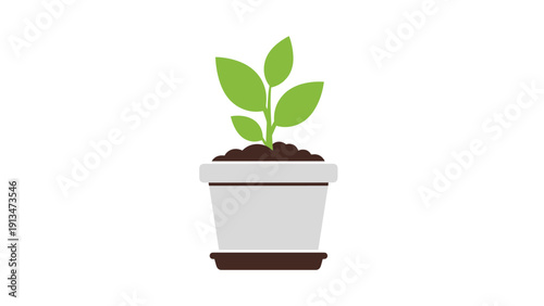 Detailed green broccoli head and a small floret showing natural vegetable texture for healthy food design concepts.