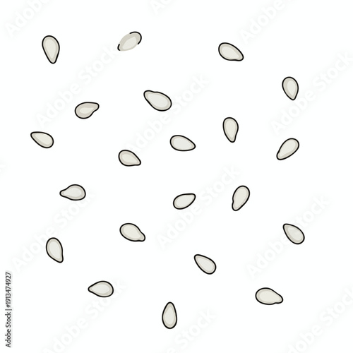 Collection of Scattered Seeds for Healthy Cooking and Gardening