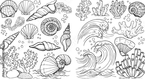 Detailed Ocean Marine Life Line Art Collection with Seashells, Coral, Waves, and Bubbles for Coloring Pages or Design Elements