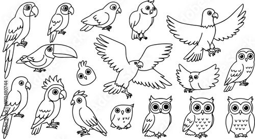 Cute Birds Line Art Illustration: Parrots, Owls, Toucan, Eagles  More