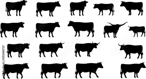 Black Cow Silhouettes Collection: Diverse Vector Icons of Various Cattle Breeds, including Dairy, Beef, and Longhorns. Farm Animal Livestock Graphics on White Background.