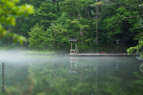 Konstfotografi 神秘的な早朝の池と鳥居