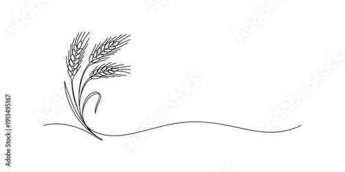 A simple black and white line drawing of wheat stalks growing from the ground. Vector, illustration