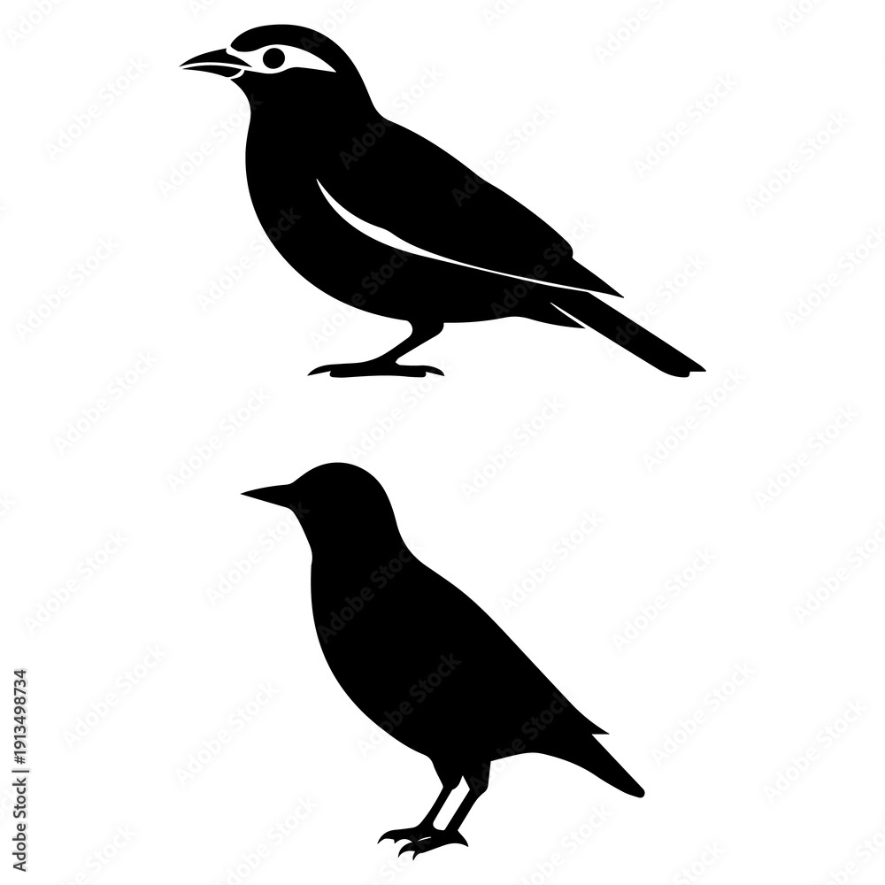 Fototapeta premium Crow Silhouette Set | Black Raven Bird Vector Illustration