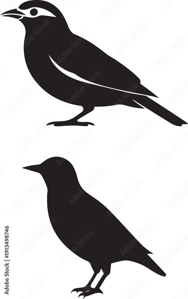 Fototapeta premium Crow Silhouette Set | Black Raven Bird Vector Illustration