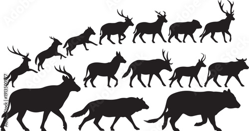 Collection of various animal silhouettes in different poses running