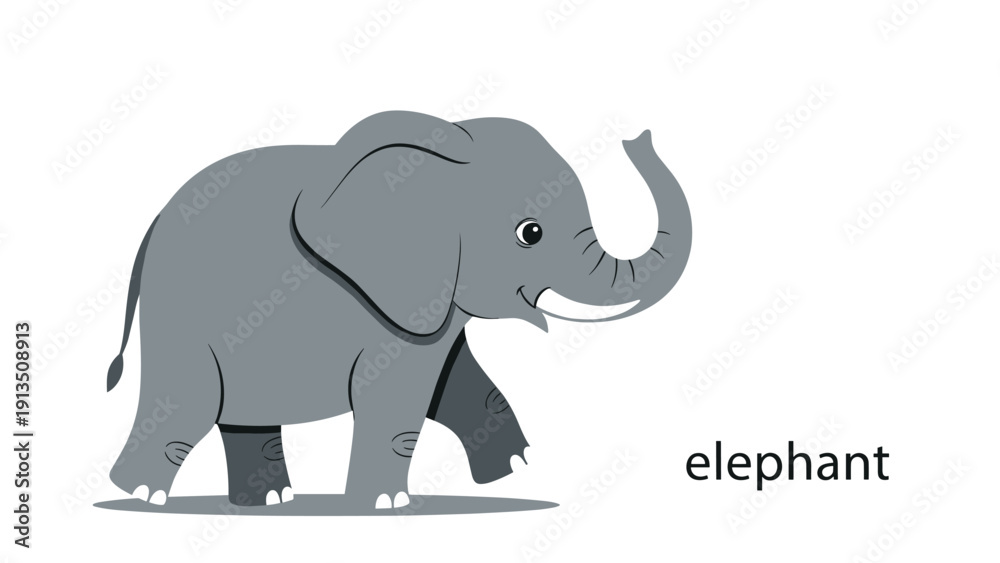 Obraz premium Friendly gray elephant is shown walking forward with a large smile and its trunk raised slightly against a clean white background.