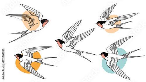 Dynamic set of five swallow birds in flight is highlighted by soft colored circular backdrops in shades of orange, yellow, and blue.