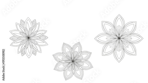 Trio of hand drawn lotus flower or mandala patterns in a detailed line art style displayed on white background.