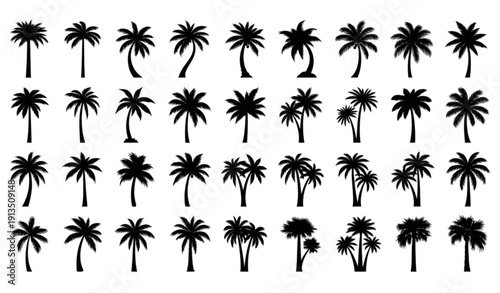 Title 1
Black palm tree silhouettes collection with tropical coconut and fan palms isolated on white backgrounda