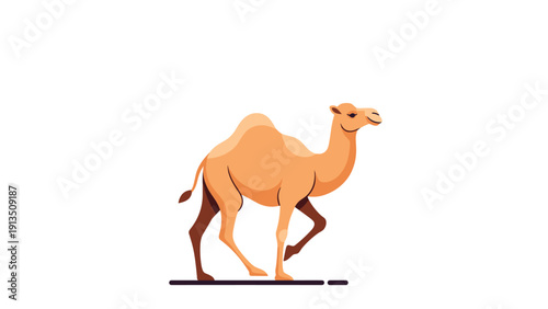 Majestic single hump dromedary camel walking gracefully on a plain white background with stylized desert ground shadows and soft lighting.